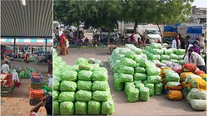 Rajasthan: टमाटर 120, अदरक 240, भिंडी-करेला और ग्वार फली 80 रुपए किलो, प्रदेश में सब्जियों की कीमत में लगी आग Tomato 120 and ginger Rs 240 kg in Rajasthan big jump in vegetables prices